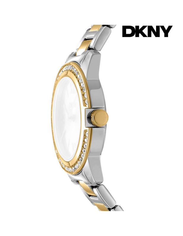 DKNY Ladies Watch